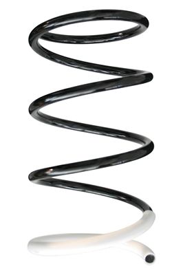 Arc spiral SPIDAN 86406