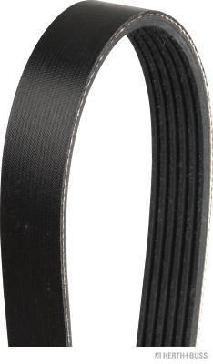 Pasek klinowy wielorowkowy HERTH+BUSS JAKOPARTS J1062220