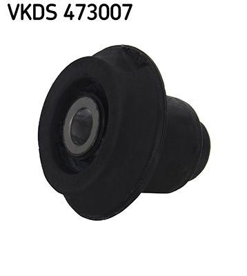 Korpus osi SKF VKDS473007