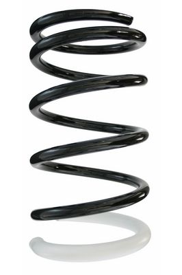 Arc spiral SPIDAN 87119