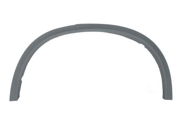 Ehis-/kaitseliist,Poritiib