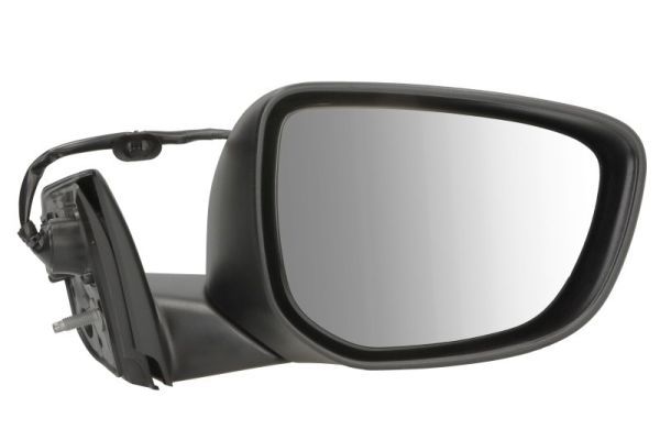 Oglinda exterioara BLIC 5402-21-0204313P