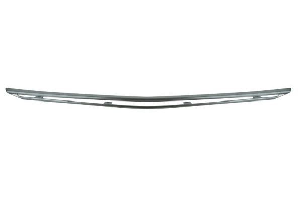 Baguette et bande protectrice, grille de radiateur