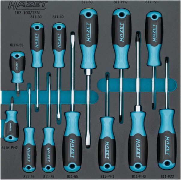 Set surubelnite HAZET 163-100/13N
