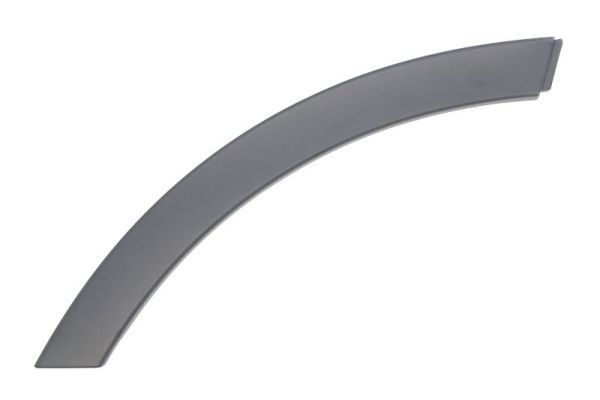 Elemente decorative/protectie, aripa BLIC 5703-04-0041474P