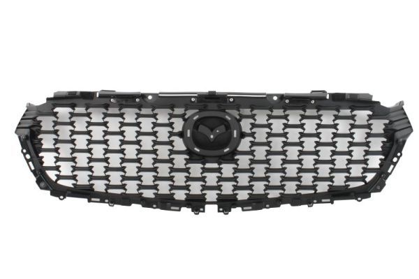 Grille de radiateur