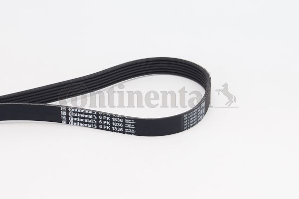 Pasek klinowy wielorowkowy CONTINENTAL CTAM 6PK1836