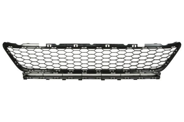 Grila ventilatie, bara protectie BLIC 6502-07-9550910GP