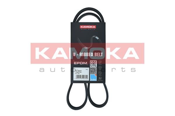 Pasek klinowy wielorowkowy KAMOKA 7015031