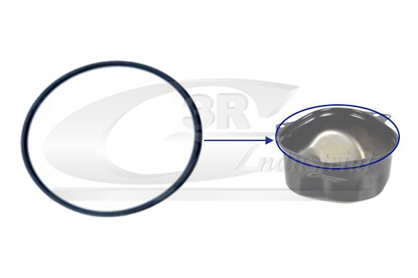 Garnitura baie ulei 3RG 24646