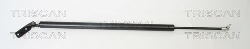 Amortizor portbagaj TRISCAN 8710 42229