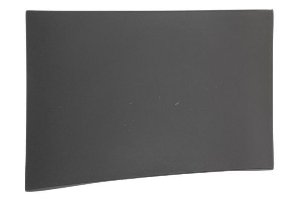 Elemente decorative/protectie, panou lateral BLIC 5703-04-3548590P