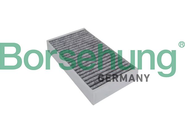 Filtr, wentylacja przestrzeni pasażerskiej BORSEHUNG B12842