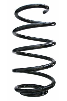 Arc spiral SPIDAN 87796