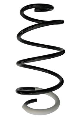 Arc spiral SPIDAN 88078