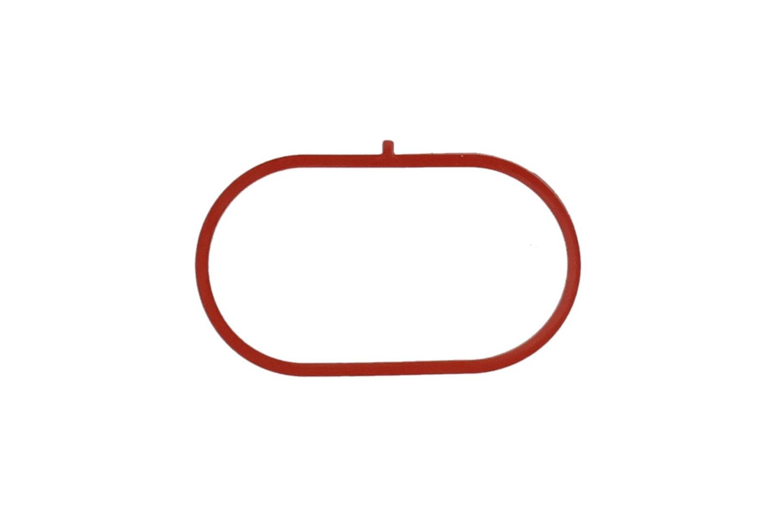 Blīve, Ieplūdes kolektors