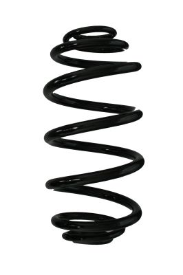 Arc spiral SPIDAN 87674