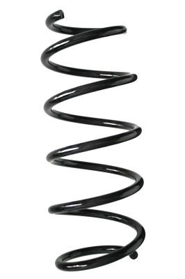 Arc spiral SPIDAN 88131