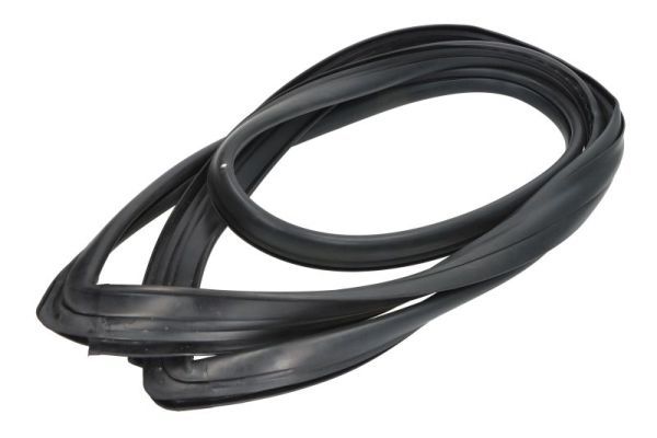 Garnitura, parbriz BLIC 5703-04-6037936Q