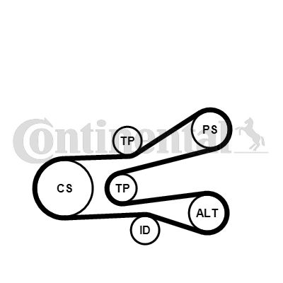 Zestaw paska klinowego wielorowkowego CONTINENTAL CTAM 6PK1440K1