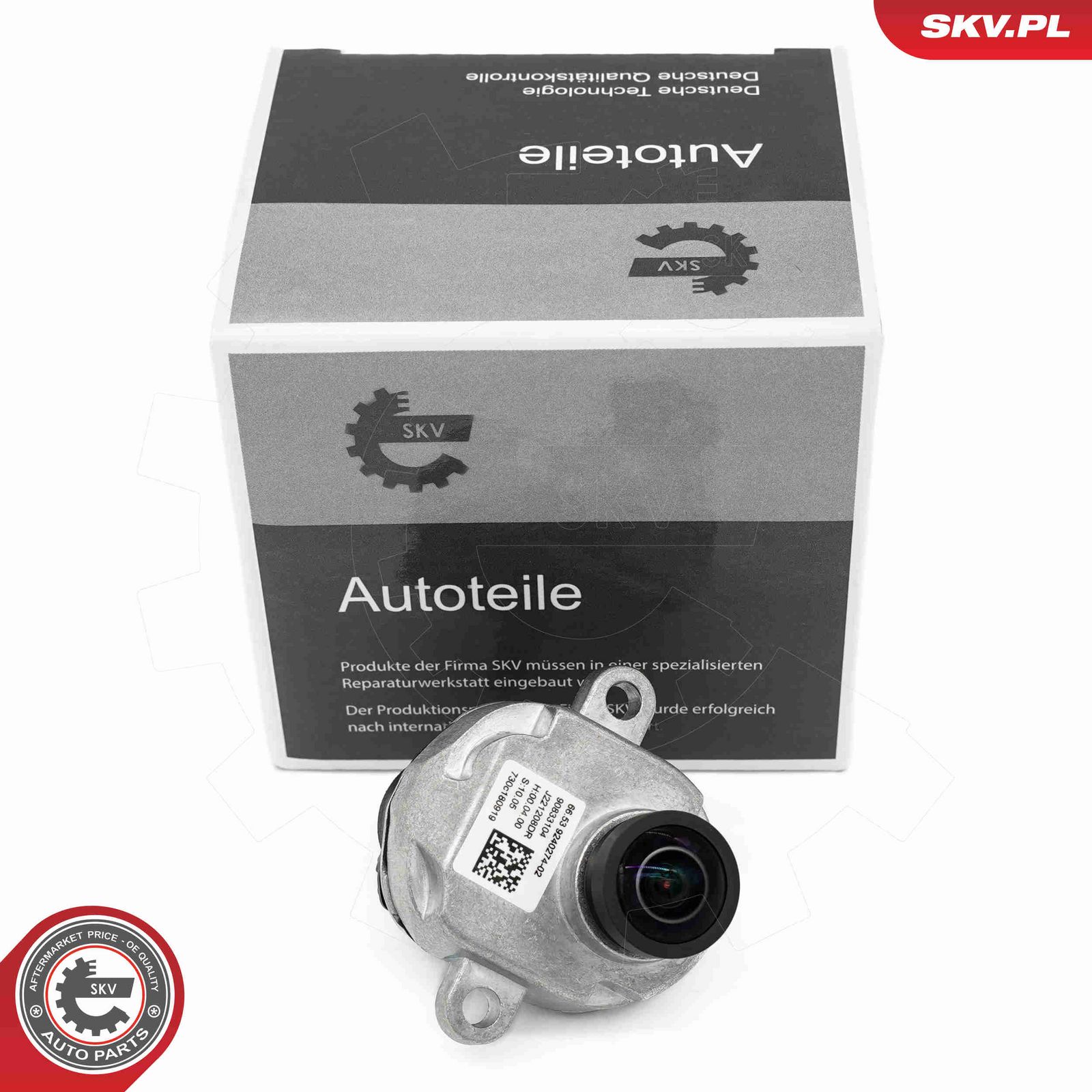 Atpakaļskata kamera, Parkošanās palīgsistēma