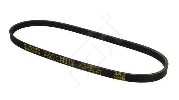 Pasek klinowy wielorowkowy HART 331 758