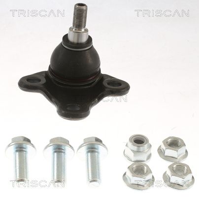 Przegub mocujący / prowadzący TRISCAN 8500 255009