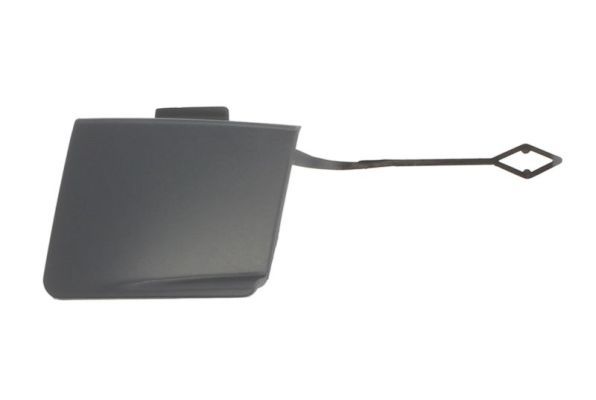 acoperire tampon,sistem de remorcare BLIC 5513-00-0067978P