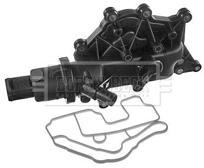 Termostat, środek chłodzący BORG & BECK BBT301