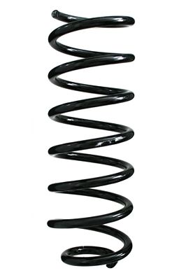 Arc spiral SPIDAN 49435