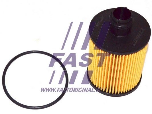 Filtr oleju FAST FT38077