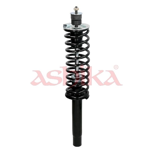 ASHIKA MAMC002