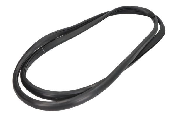 Garnitura, parbriz BLIC 5703-04-6037997Q