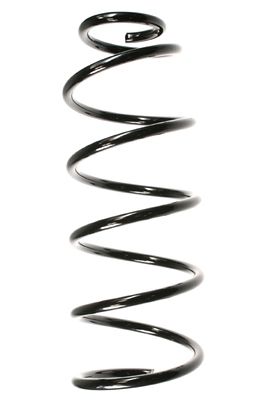 Arc spiral SPIDAN 48624