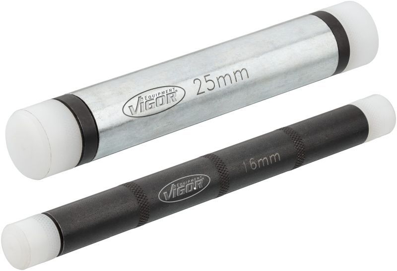 VIGOR V10012