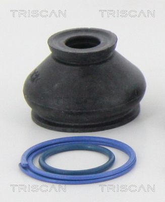 Ansamblu burduf, directie TRISCAN 8501 2510