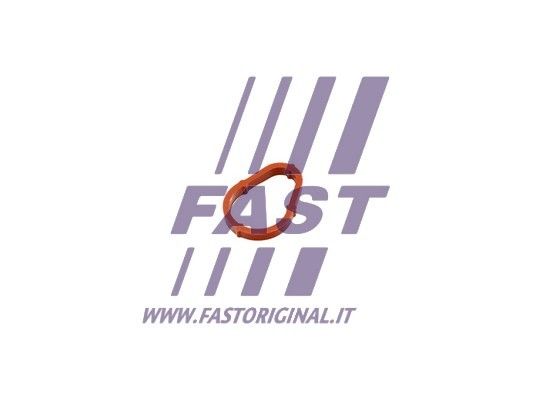 Uszczelka, pompa podciśnieniowa FAST FT50702