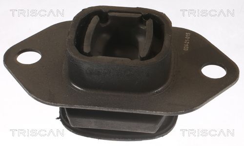 Łożyskowanie silnika TRISCAN 8505 25119