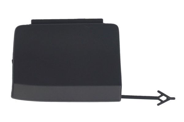 acoperire tampon,sistem de remorcare BLIC 5513-00-0030974P