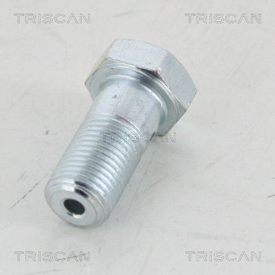 Surub gaurit TRISCAN 8105 3251