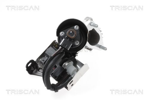 Supapa EGR TRISCAN 8813 43018