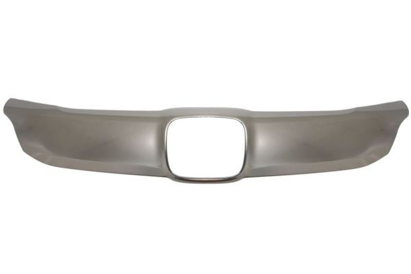 Banda de protectie, grila radiator BLIC 6502-07-2952993P