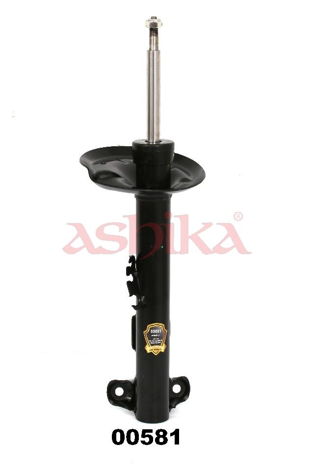 ASHIKA MA00581