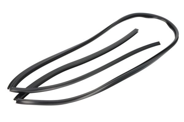 Elemente decorative/protectie, parbriz BLIC 5703-04-6037662Q