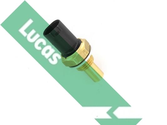 Czujnik, temperatura oleju LUCAS SNB969