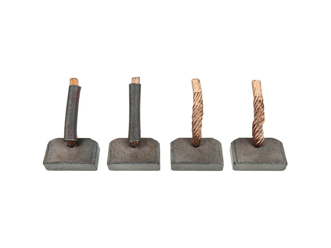 Perie, electromotor AS-PL SB5010