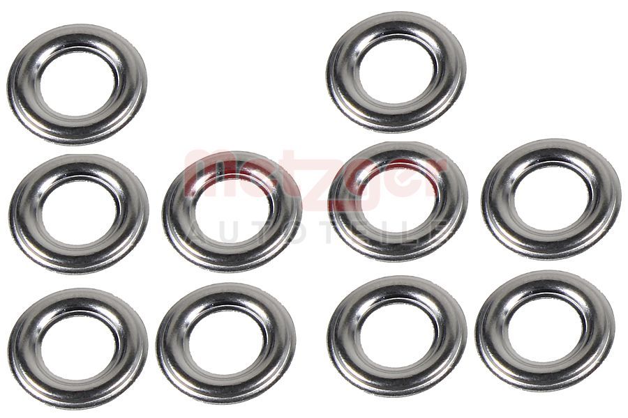 Kaitseseib,sissepritsesüsteem