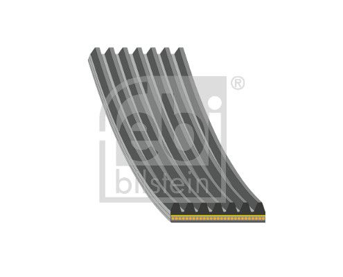 Curea transmisie cu caneluri FEBI BILSTEIN 181285