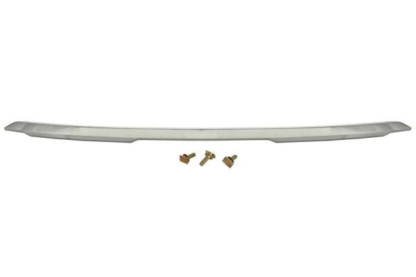 Baguette et bande protectrice, pare-chocs
