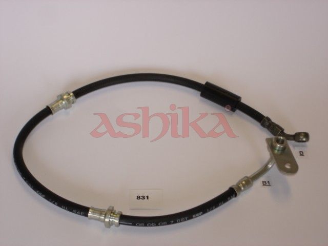 ASHIKA 6908831